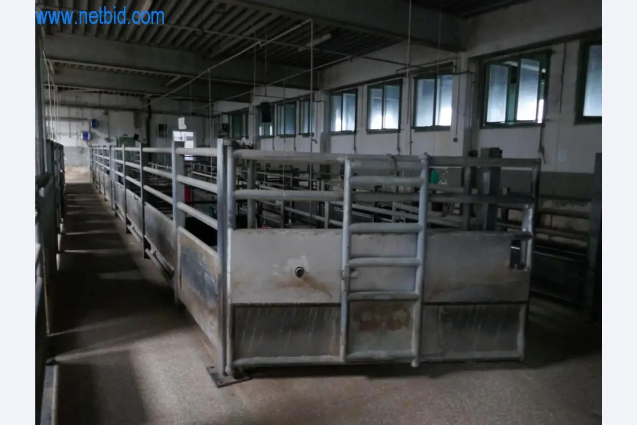 Blood collection station from a Slaughterhouse -2