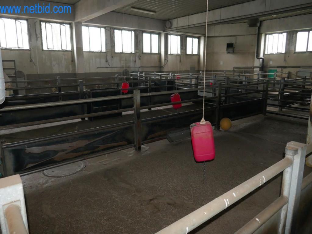 Estación de extracción de sangre de un matadero-3