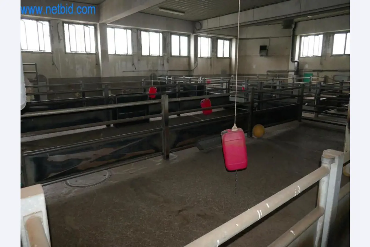 Blood collection station from a Slaughterhouse -3