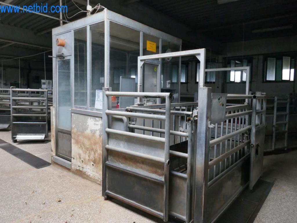 Estación de extracción de sangre de un matadero-4