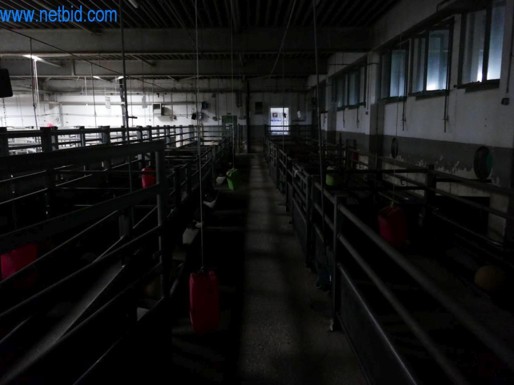 Estación de extracción de sangre de un matadero-7