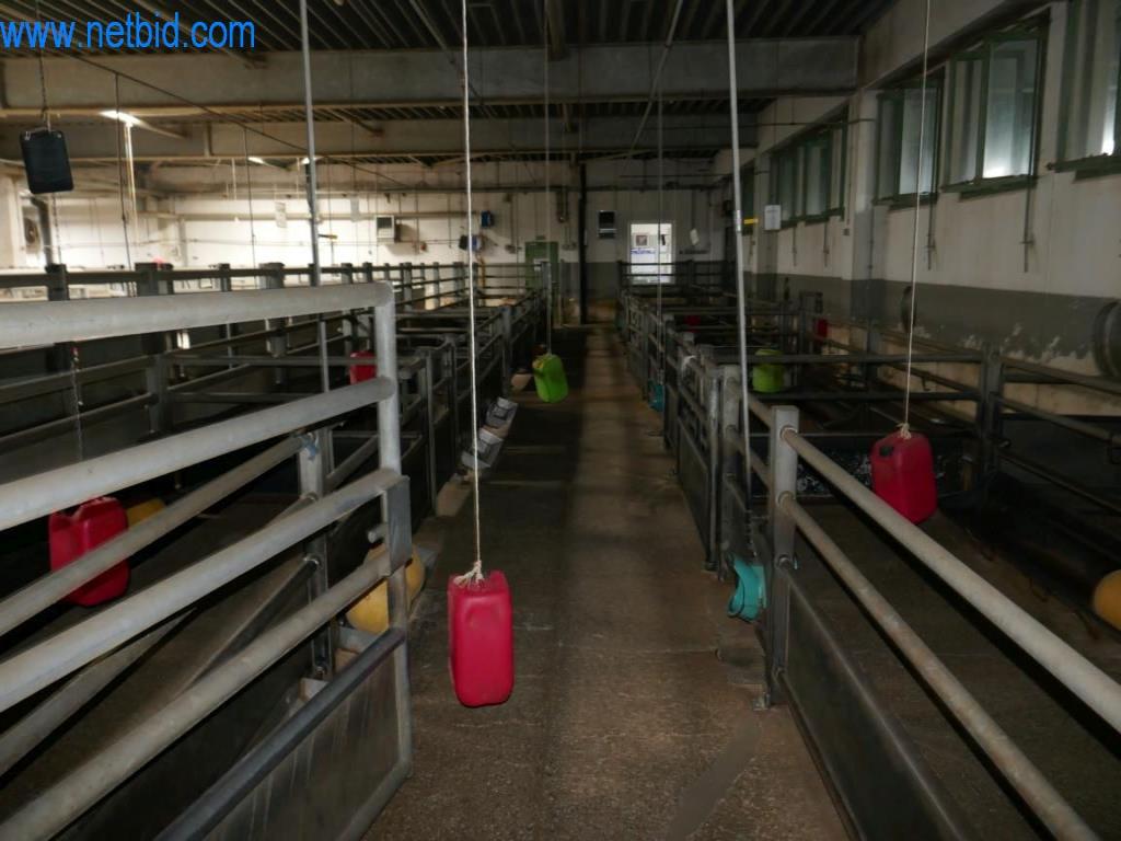 Estación de extracción de sangre de un matadero-8