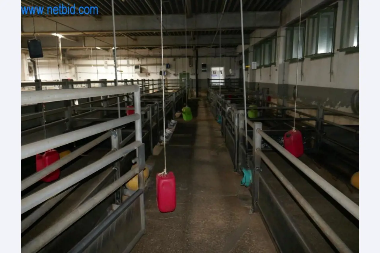 Blood collection station from a Slaughterhouse -8