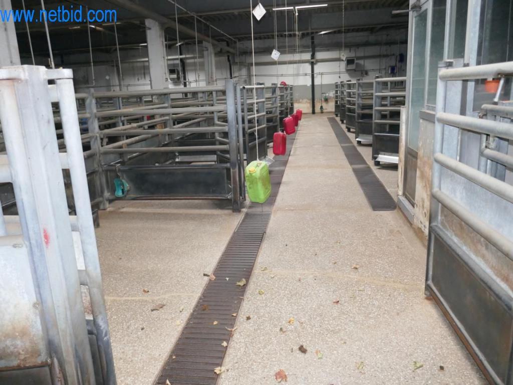 Estación de extracción de sangre de un matadero-9