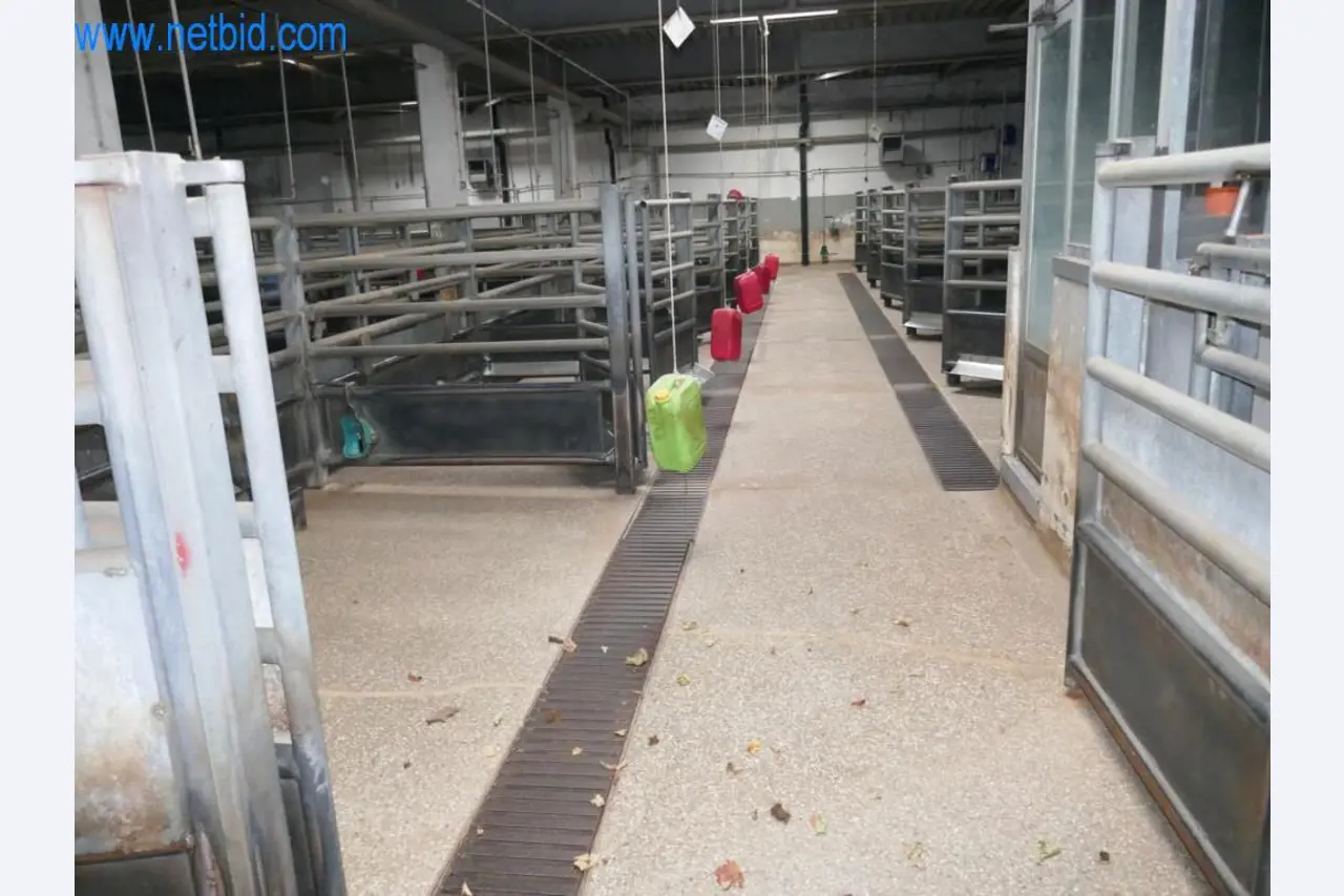 Blood collection station from a Slaughterhouse -9