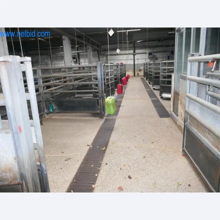 Blood collection station from a Slaughterhouse -9