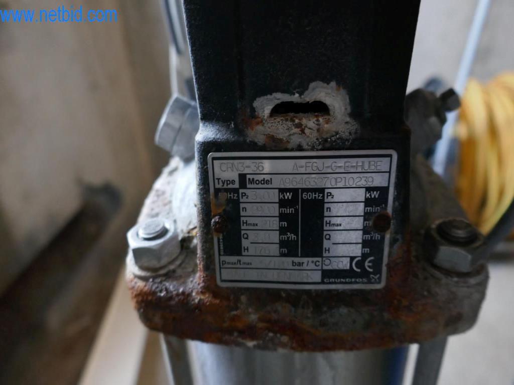 Estación de extracción de sangre de un matadero-3