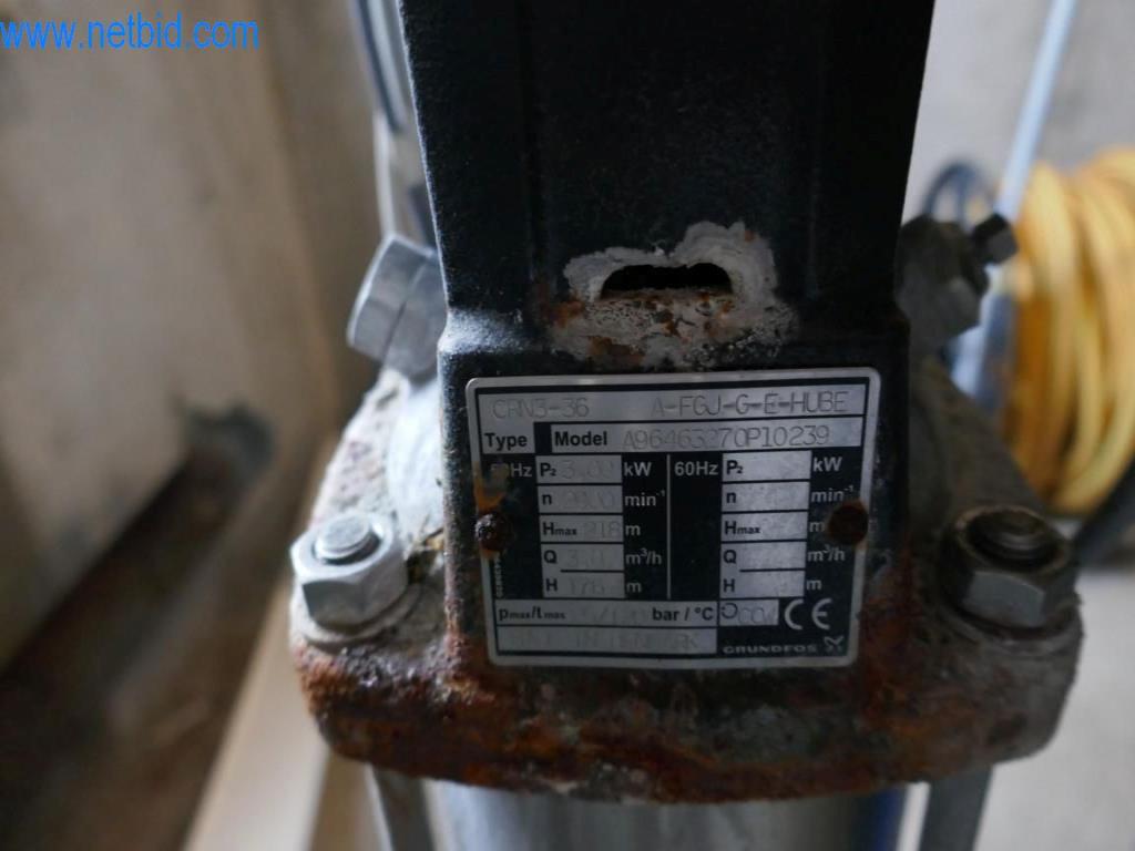 Estación de extracción de sangre de un matadero-4