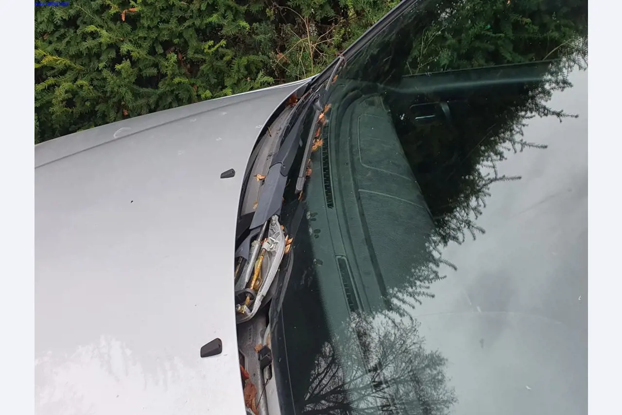 Autocarros e camionetas, material de oficina, de escritório e comercial-20