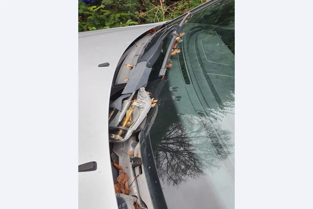 Autocarros e camionetas, material de oficina, de escritório e comercial-4