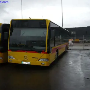 Standardowy autobus liniowy EvoBus Citaro O530