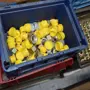 thumbnail-Máquinas, equipos operativos y accesorios de un líder mundial en el mercado de sistemas de tensado de cadenas.-4