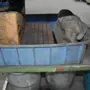 thumbnail-Maszyny, sprzęt operacyjny i akcesoria światowego lidera na rynku systemów napinania łańcuchów stają się dostępne.-4