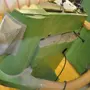 thumbnail-Tischlereimaschinen aus der Lehrwerkstatt einer beruflichen Schule-6