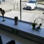 thumbnail-Bäckereiausstattung, Bäckereimaschinen, Fahrzeuge-5