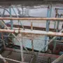 thumbnail-Machinery and equipment of Pella Sietas GmbH-4
