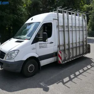 Transporteur Mercedes-Benz Sprinter 313 CDi