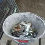 thumbnail-Goed onderhouden machines uit de interieur- en bouwsector-3