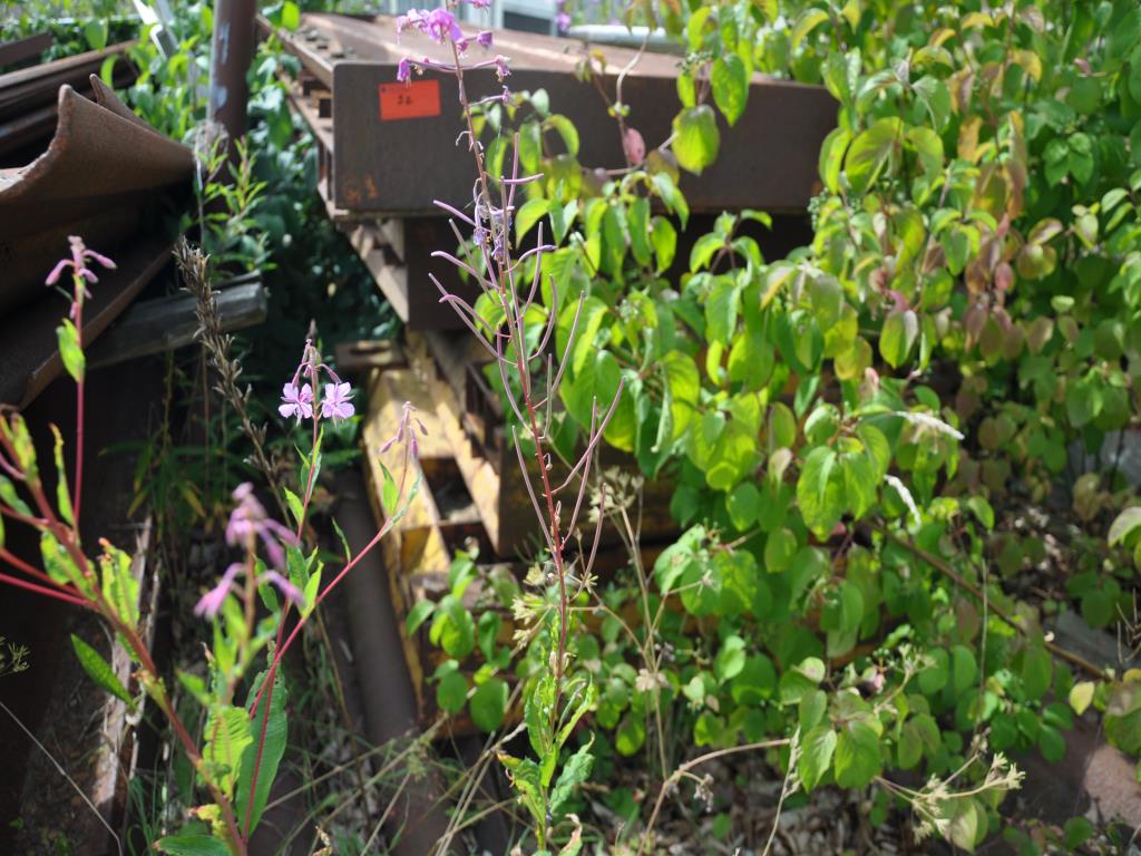 Sodobna, dobro vzdrževana gradbena vozila in vozila za gradbišča ter druga mehanska oprema iz sektorja gradbeništva.-10