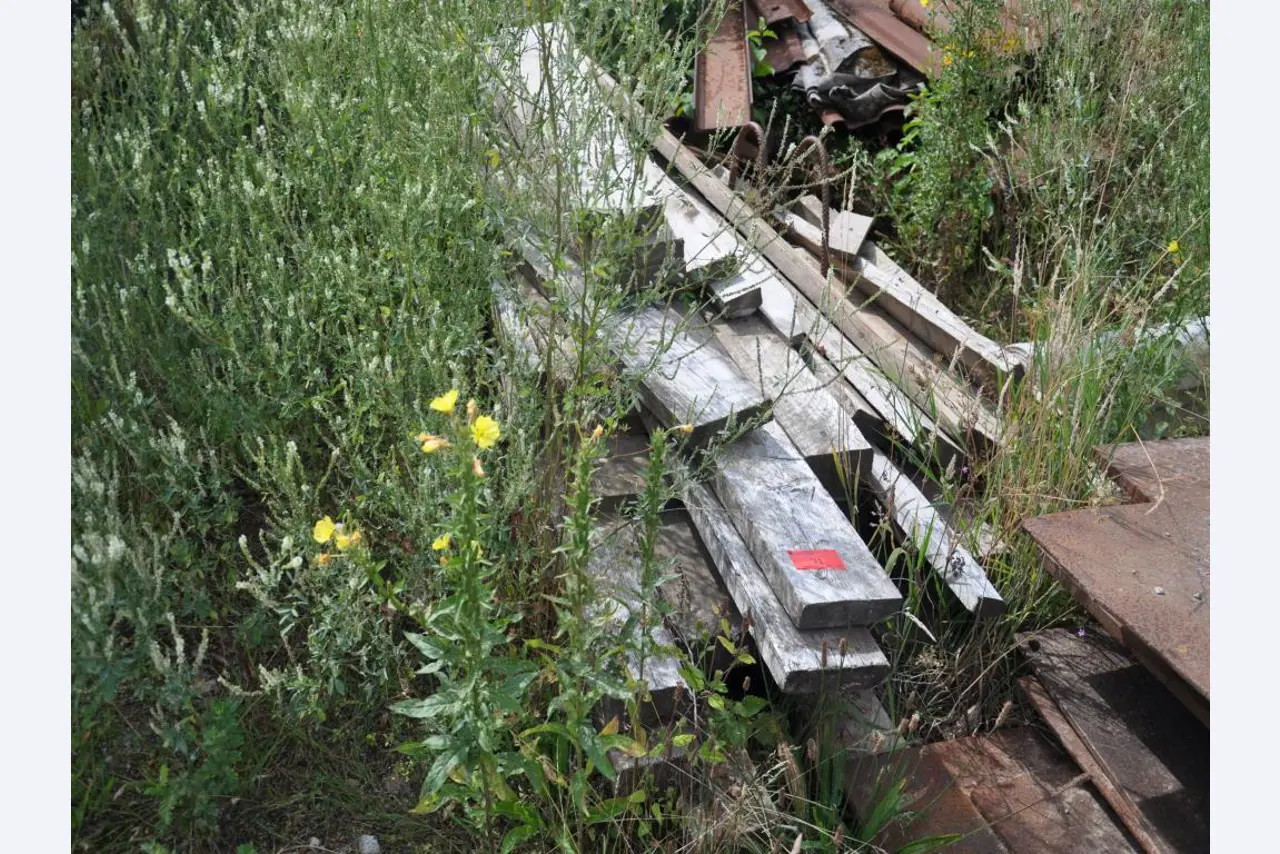Moderní, dobře udržovaná stavební a staveništní vozidla a další strojní zařízení z oblasti stavebnictví.-19