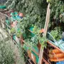 thumbnail-Sodobna, dobro vzdrževana gradbena vozila in vozila za gradbišča ter druga mehanska oprema iz sektorja gradbeništva.-7