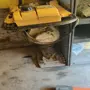 thumbnail-Moderne, gepflegte Bau- und Baustellenfahrzeuge sowie weitere maschinelle Ausstattung aus dem Tiefbau-4