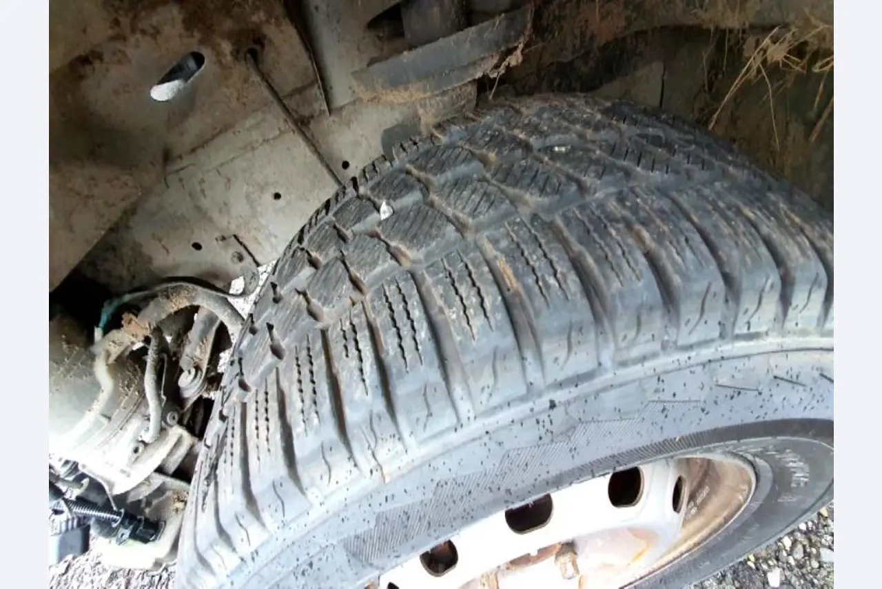 Transportistas y vehículos-12