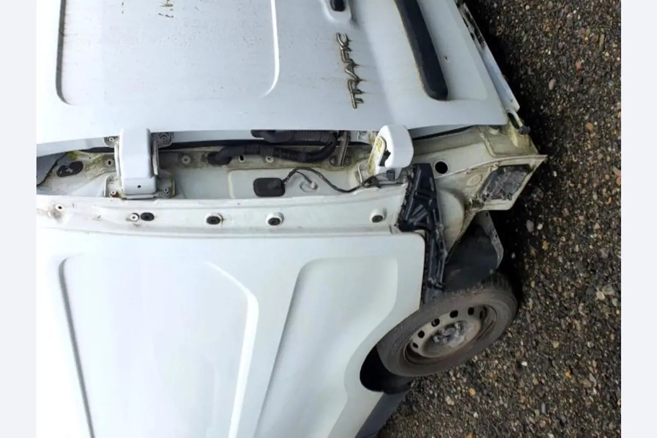 Transportistas y vehículos-18