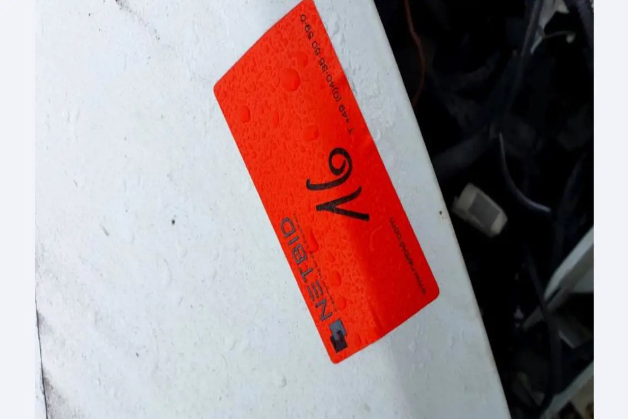 Transportistas y vehículos-2