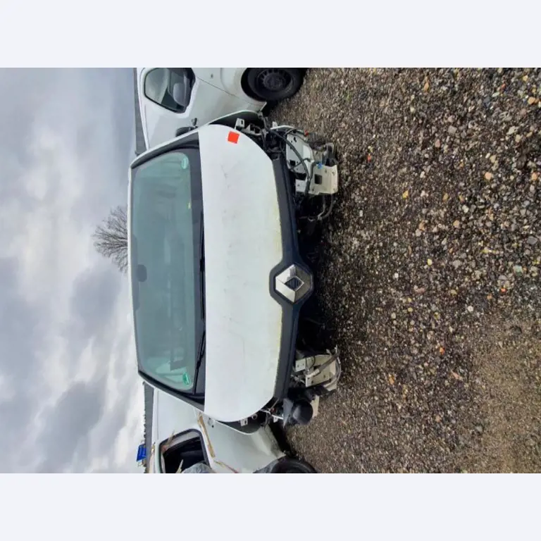 Transportistas y vehículos-4