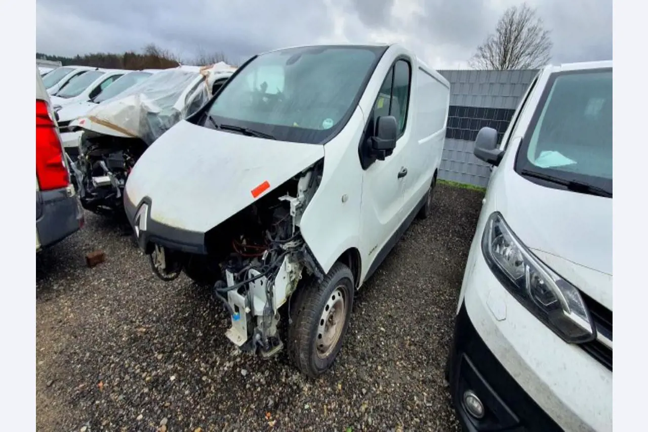 Transportistas y vehículos-1