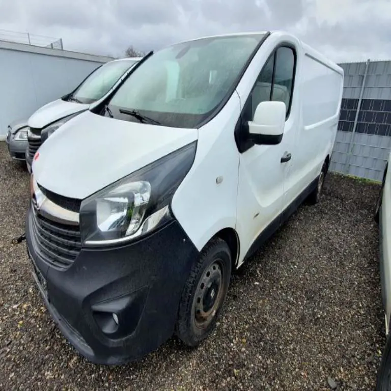 Transporter Opel Vivaro-BF7