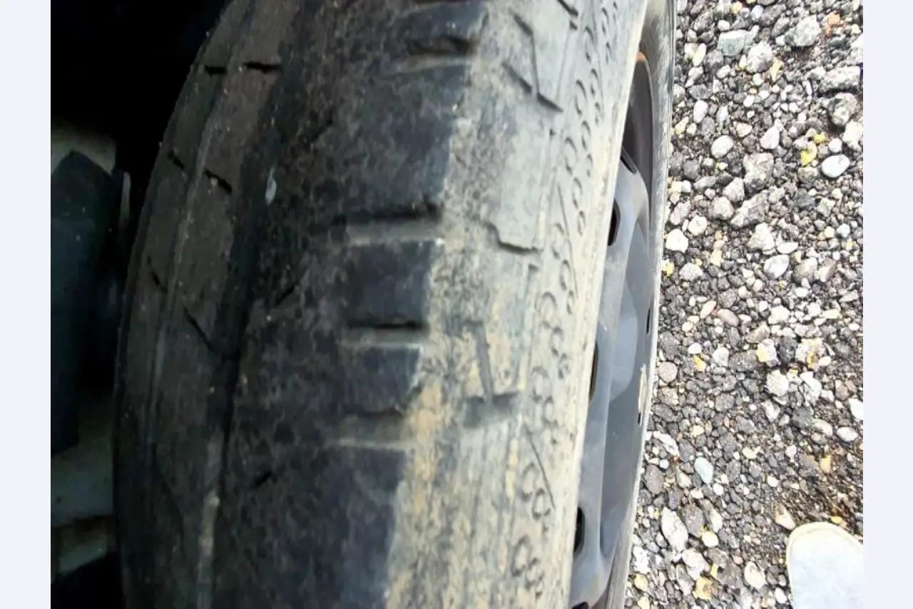 Transportistas y vehículos-11