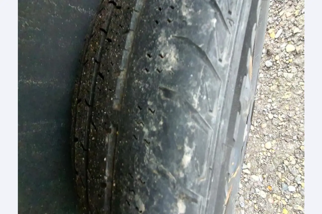 Transportistas y vehículos-12