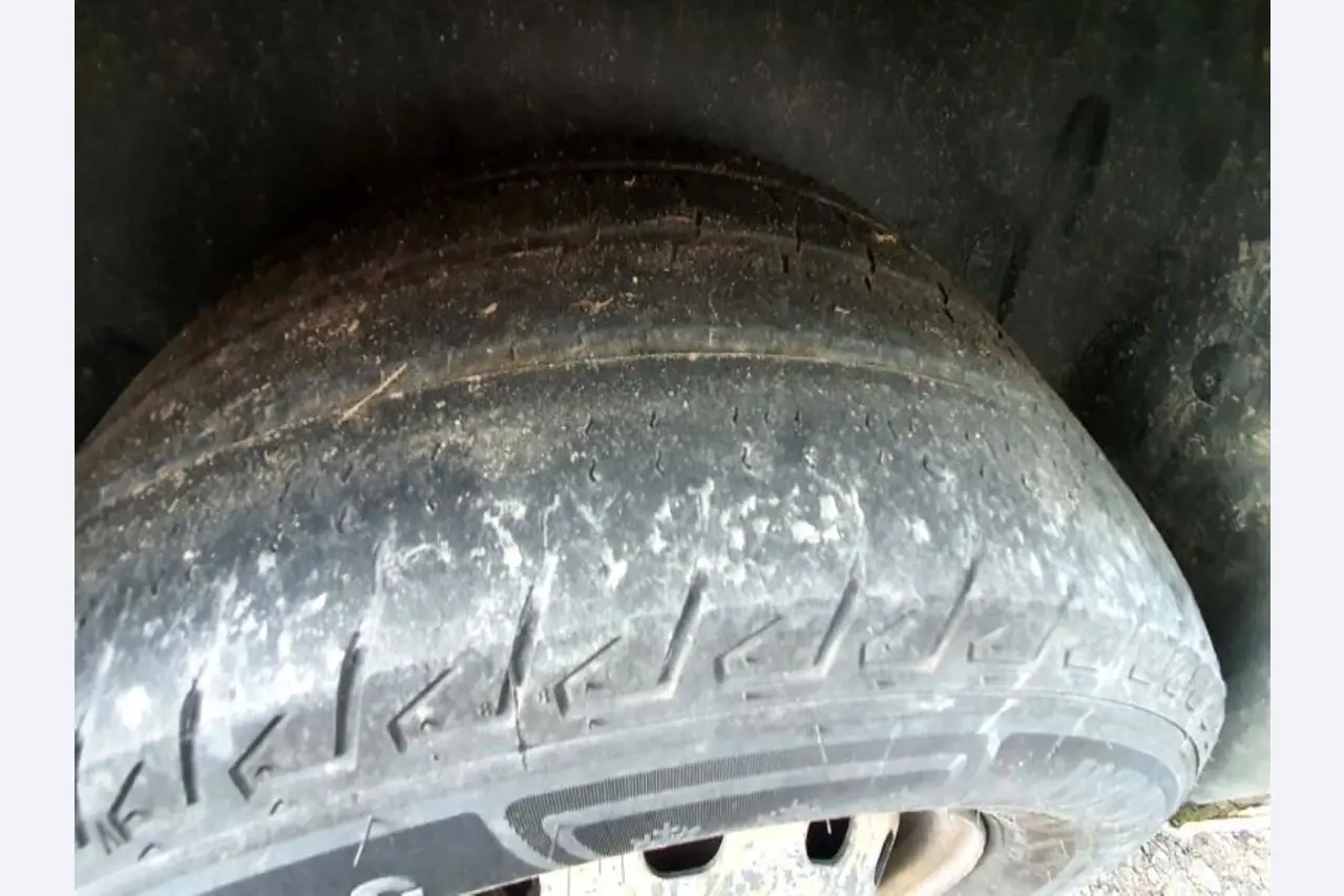 Transportistas y vehículos-13