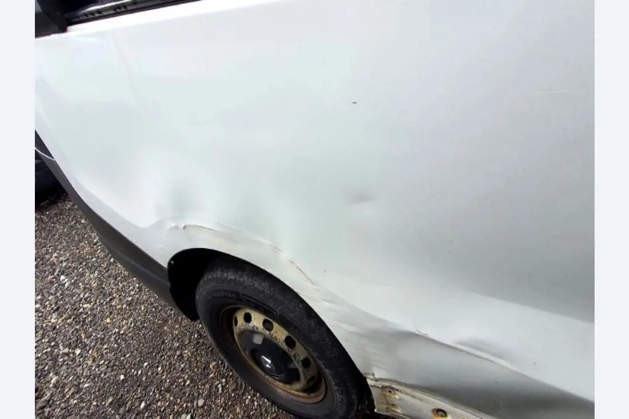 Transportistas y vehículos-18