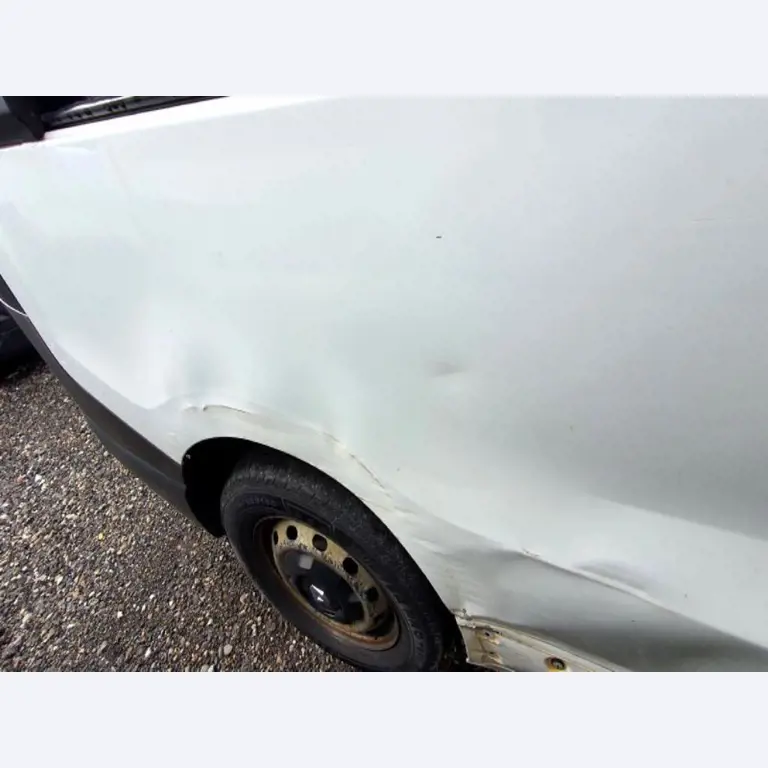 Transportistas y vehículos-18