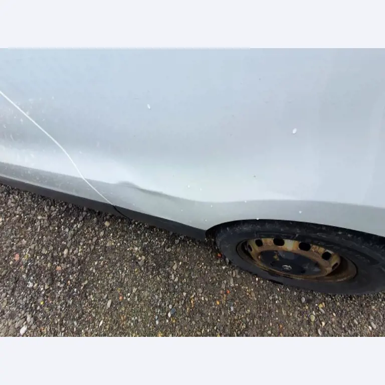 Transportistas y vehículos-22