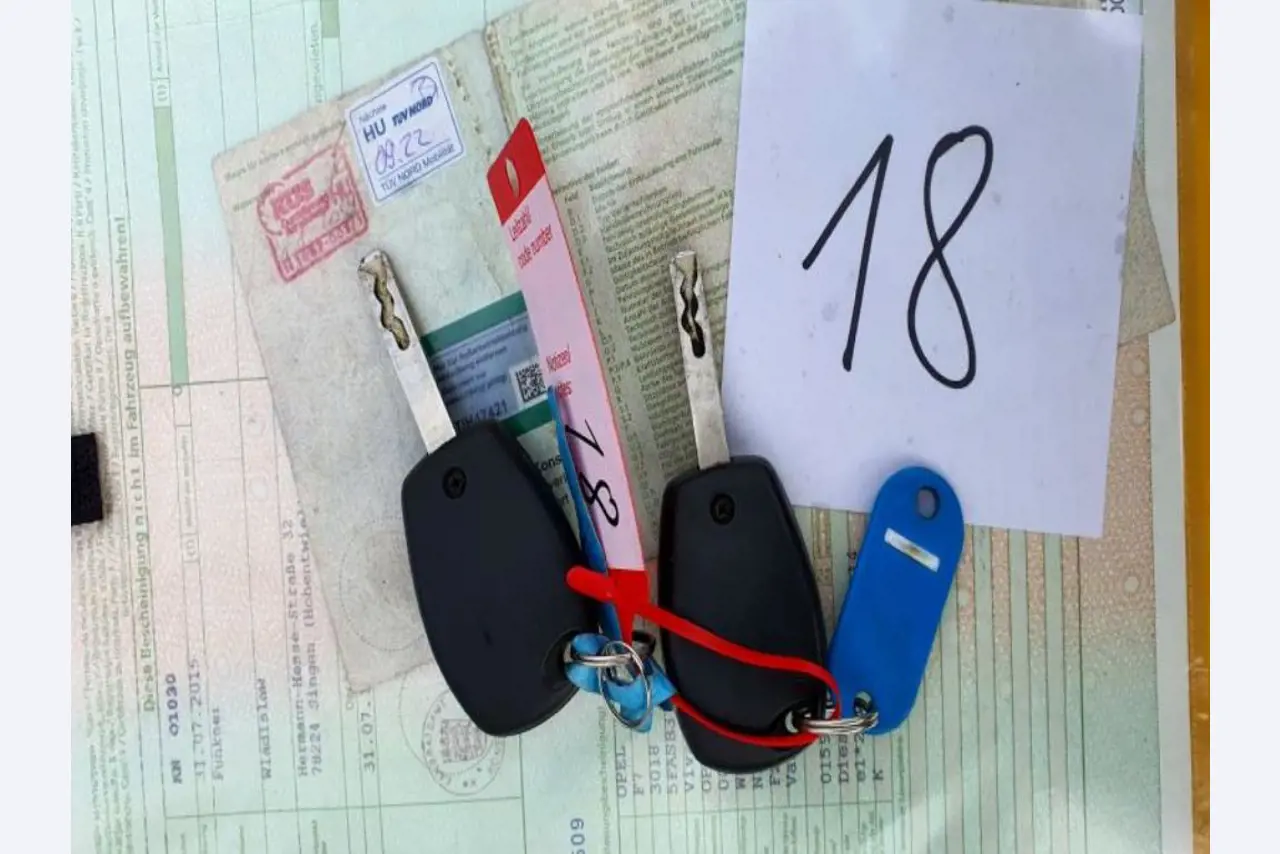 Transportistas y vehículos-3