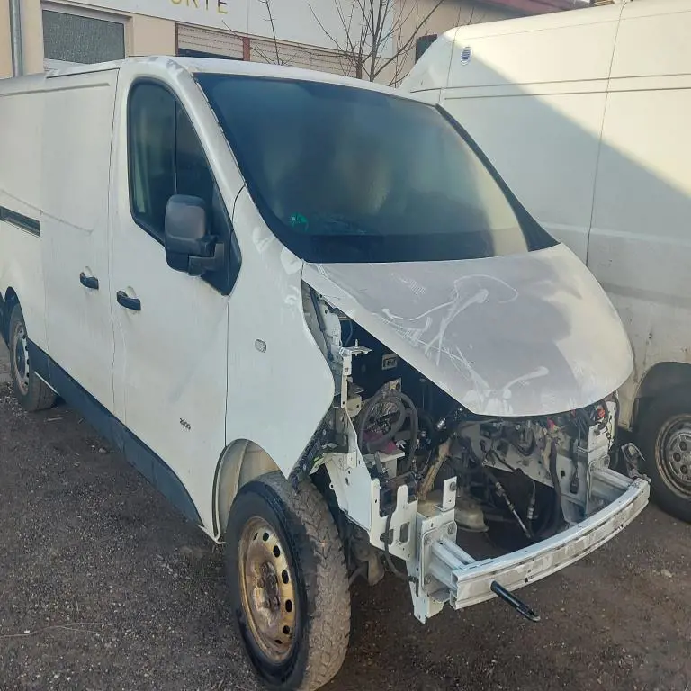 Transporter Opel Vivaro-PF7