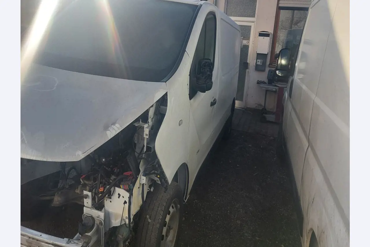 Transportistas y vehículos-3