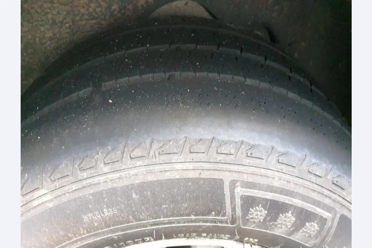 Transportistas y vehículos-30