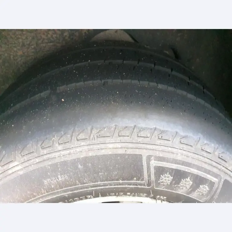 Transportistas y vehículos-30