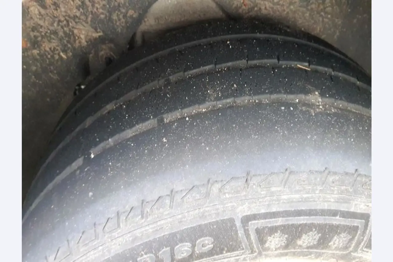 Transportistas y vehículos-31