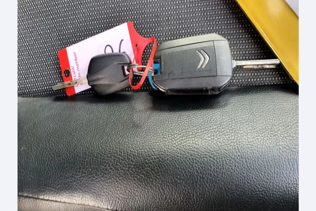 Transportistas y vehículos-5