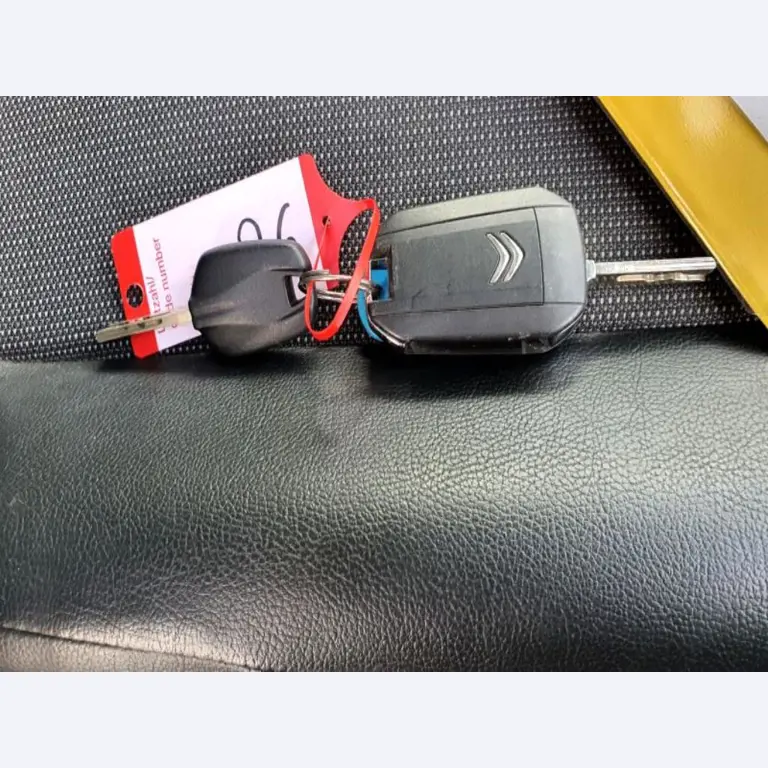 Transportistas y vehículos-5