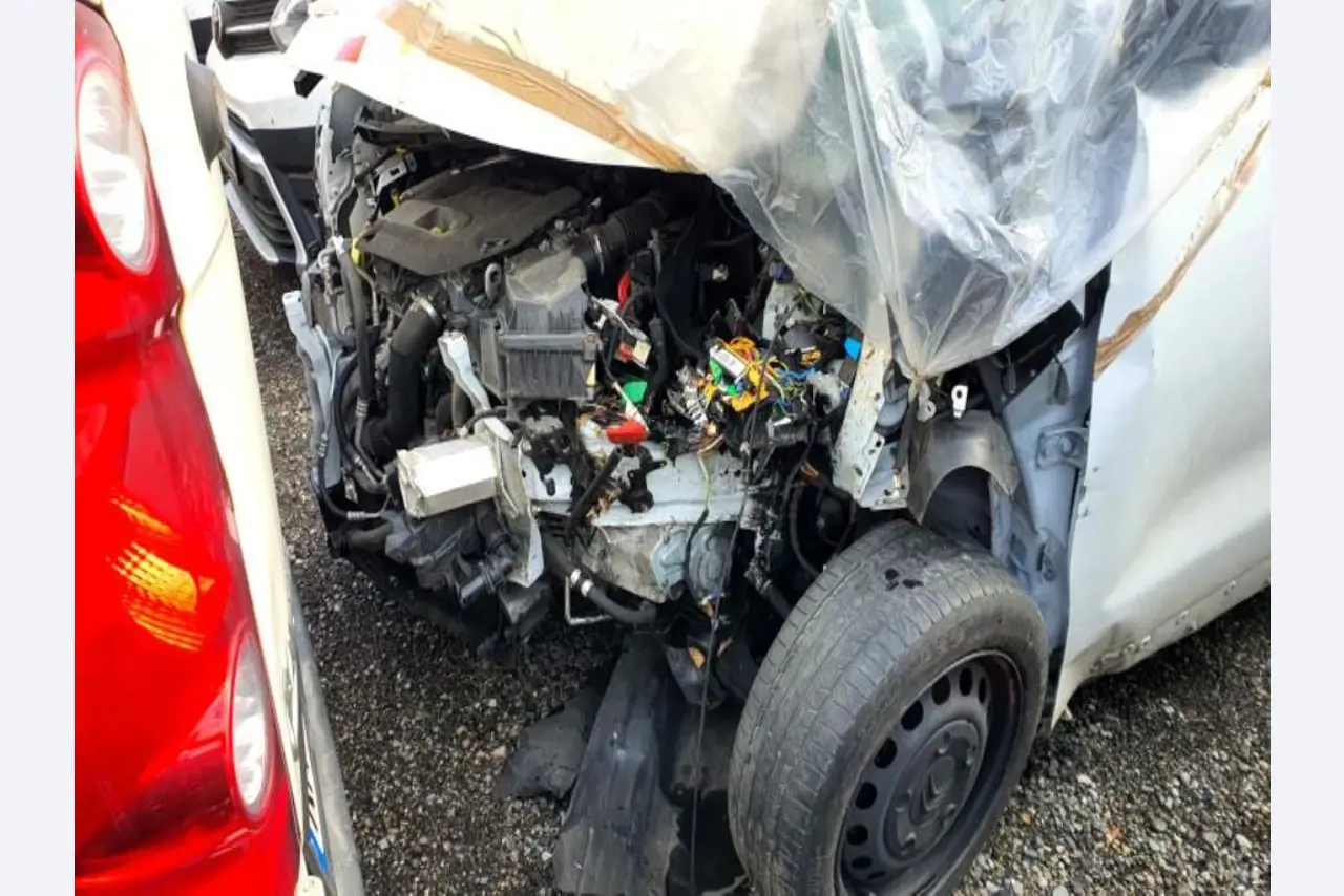 Transportistas y vehículos-17