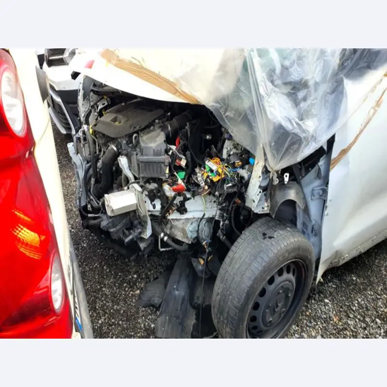 Transportistas y vehículos-17