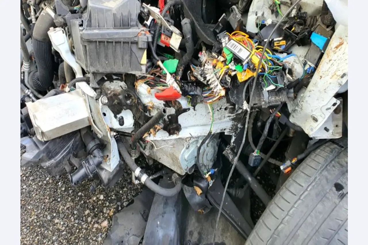 Transportistas y vehículos-19