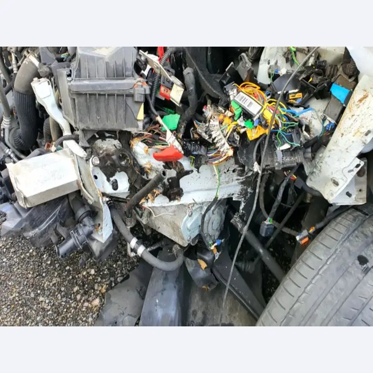 Transportistas y vehículos-19